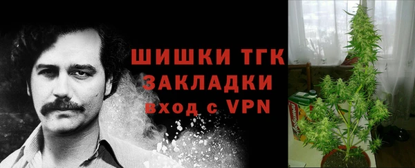 крисы Козельск