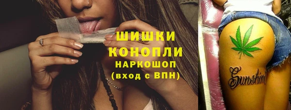 крисы Козельск