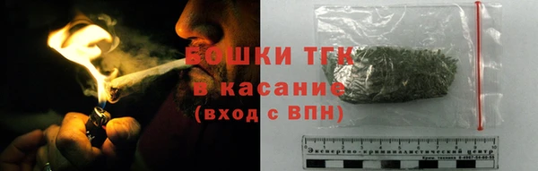 крисы Козельск