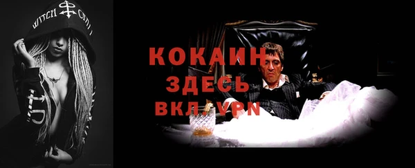крисы Козельск