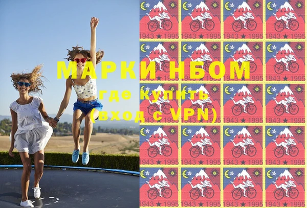 крисы Козельск