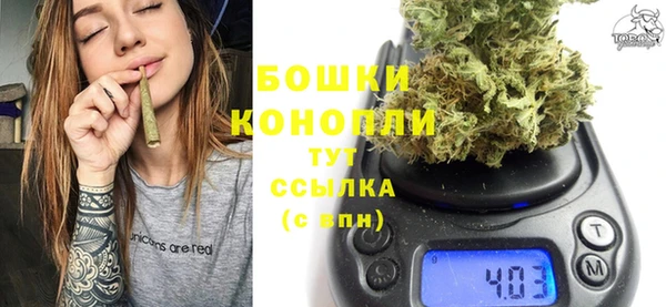 крисы Козельск