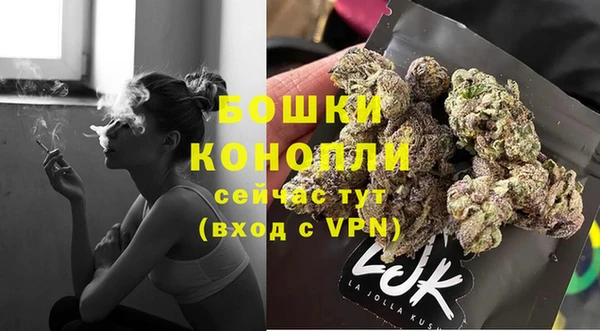 крисы Козельск