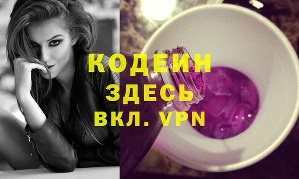 крисы Козельск