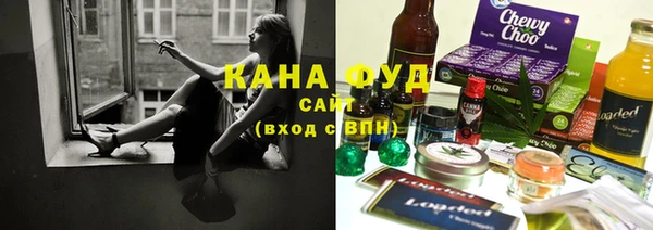 крисы Козельск