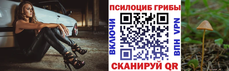 Купить  Сим  Галлюциногенные грибы прущие грибы 